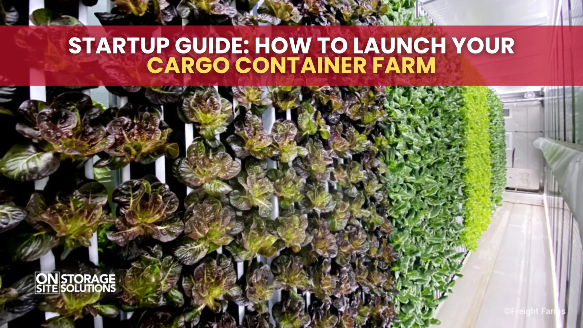Startup Guide: How To Launch Your Cargo Container Farm